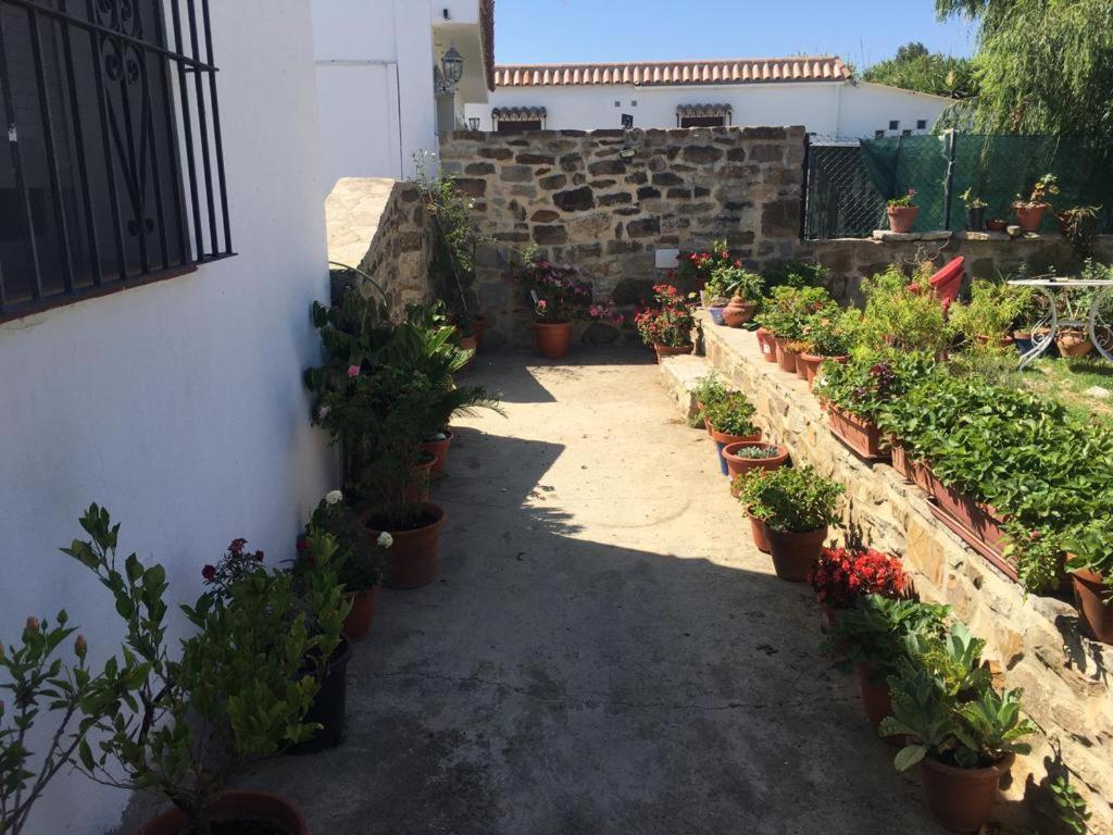 Apartamento Las Adelfas Tarifa Exterior foto